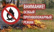 Об установлении особого противопожарного режима на территории Асбестовского городского округа!
